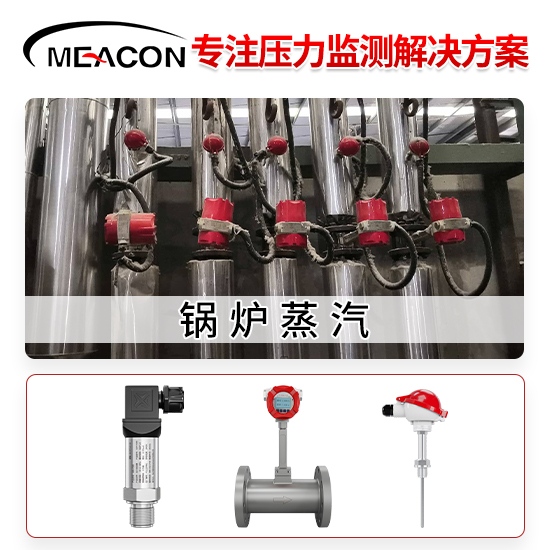 美控＿P300压力变送器