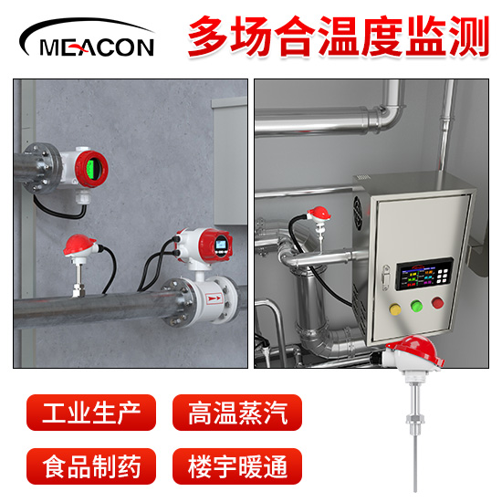 美控_Pt100铠装热电阻 螺纹安装